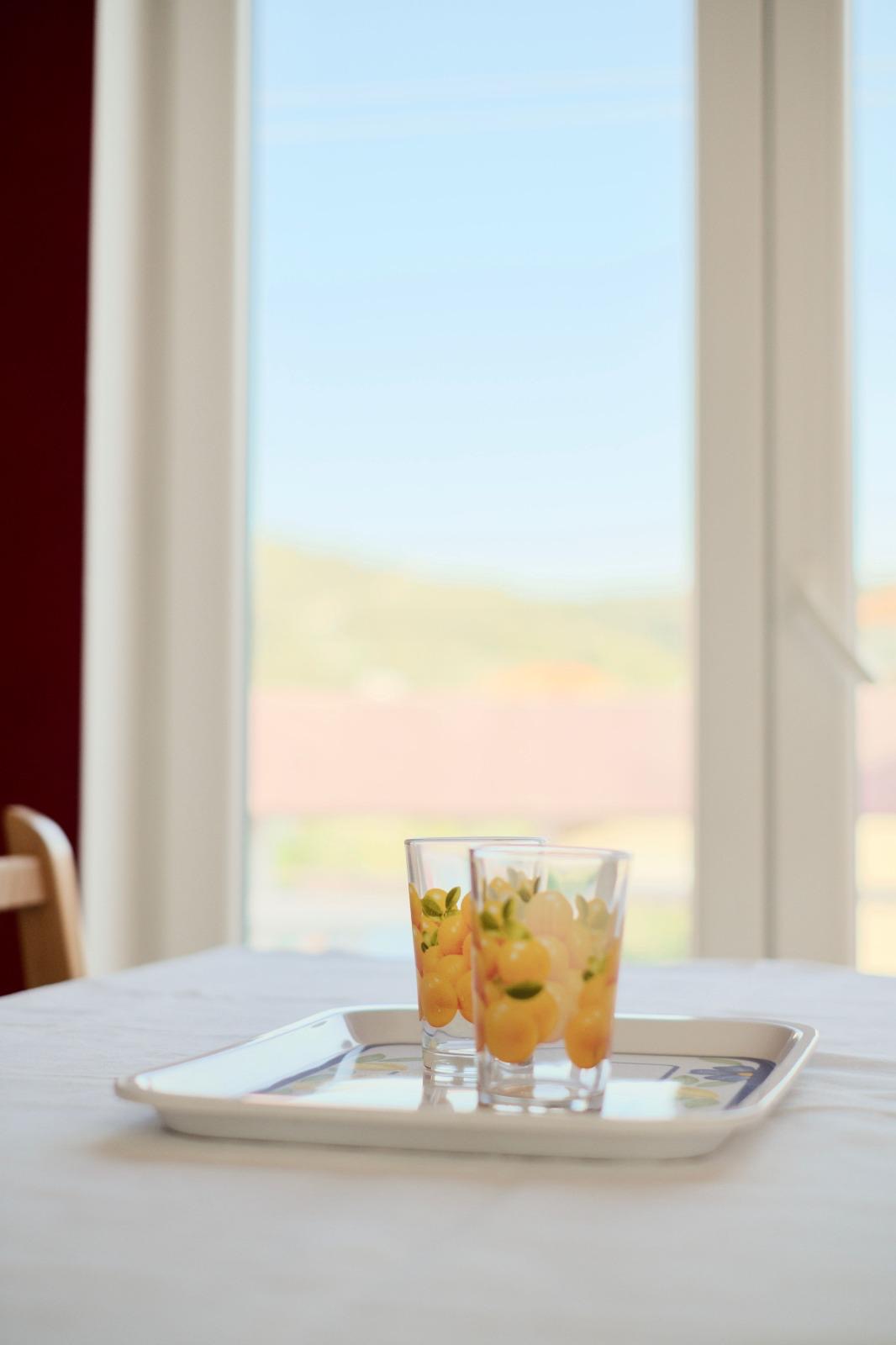 Dining table with view of Vinišće hills